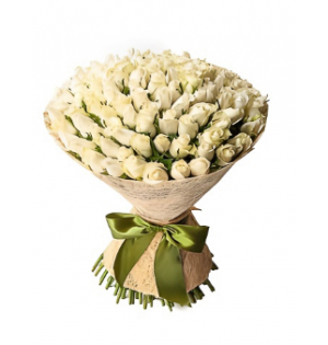 Yeşil Kurdeleli Premium Beyaz Gül Buketi (101'li - ~60 cm)